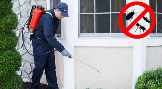 Çayırlı Böcek ve Haşere İlaçlama böcek ilaçlama ve haşere kontrolü — ilaclama-tr.com